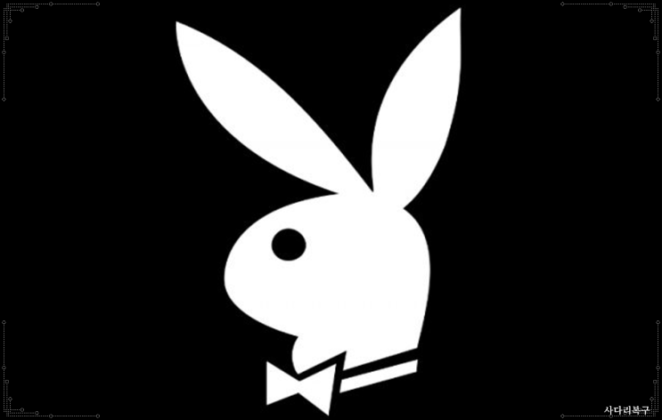  사다리복구 알찬 방법으로 목표를 이뤄봅시다