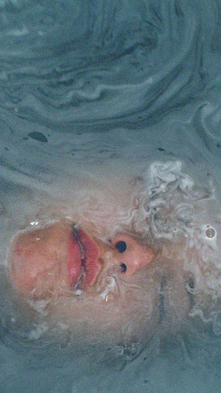 비 텀블러 배경