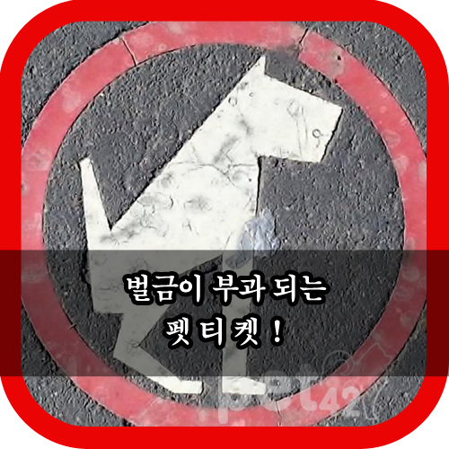  법적으로 지켜야 할 펫티켓!
