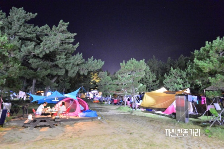  동해 망상오토캠핑장 급으로 와도 조쿠나!!