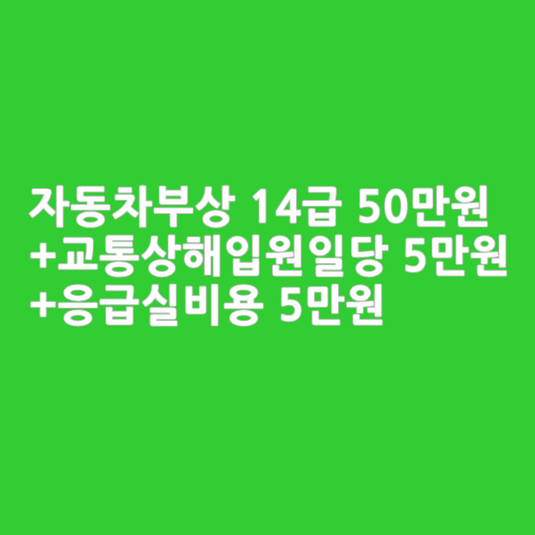  자동차사고부상50만원 + 교통상해입원일당 5만원_해피카간편플랜