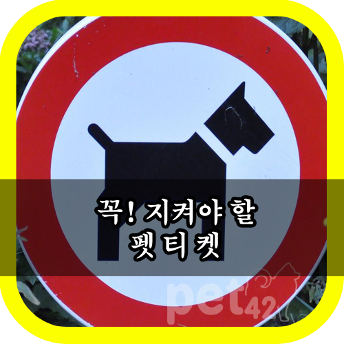  법으로 정해져 있지 않은 우리만의 펫티켓