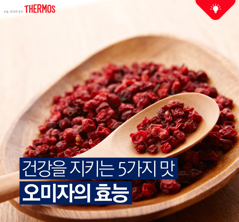 오미자 효능 대표 7종과 부작용 수확시기 제철 3