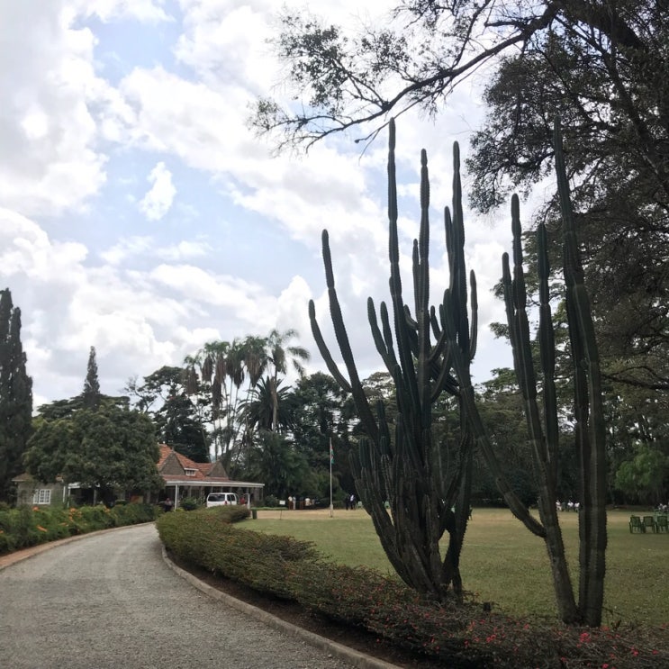  [케냐여행] 180827 나이로비 / 카렌 박물관 (Karen Blixen Museum) / 기린 센터 (Giraffe Centre) / 멧브론즈 (Matbronze)