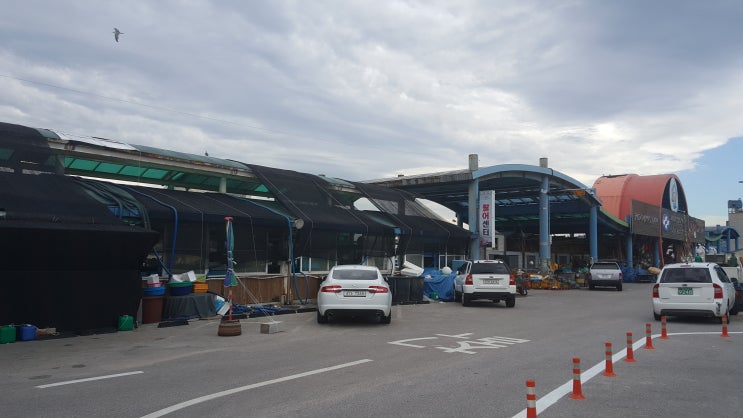 묵호항 수산시장 구경