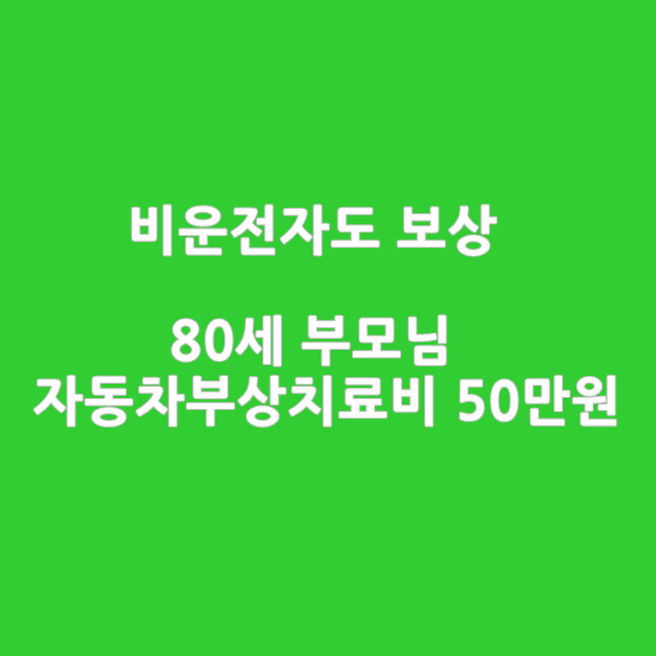  80세 부모님_자동차부상위로금 50만원 포함형 월1만원 상해보험