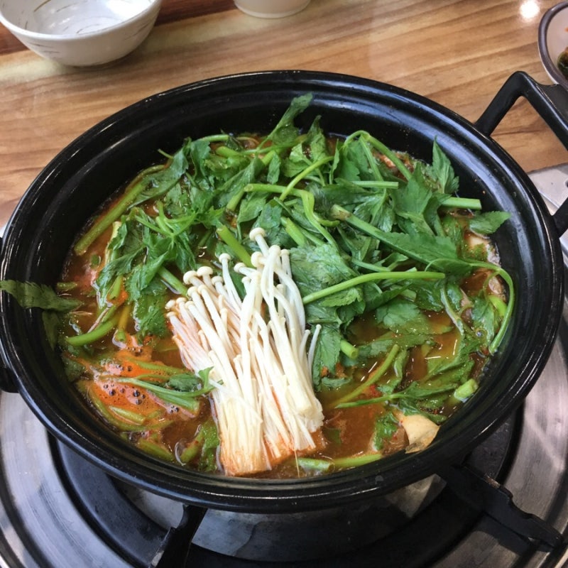 강릉 등촌샤브칼국수 샤브샤브 먹고왔어용