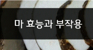  자양강장 스테미너 음식 천마효능 부작용 마먹는법보관법 마고르는법손질법 천마가루추천 산에서 나는 장어인 마즙 효능과 부작용