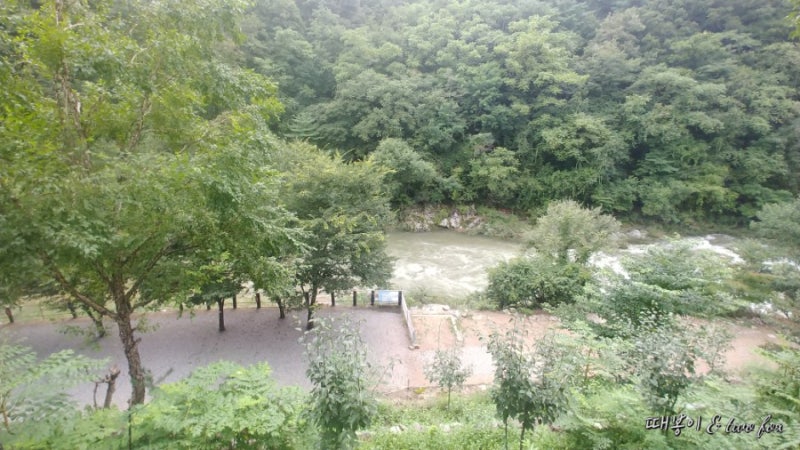 와라쉼터 이미지
