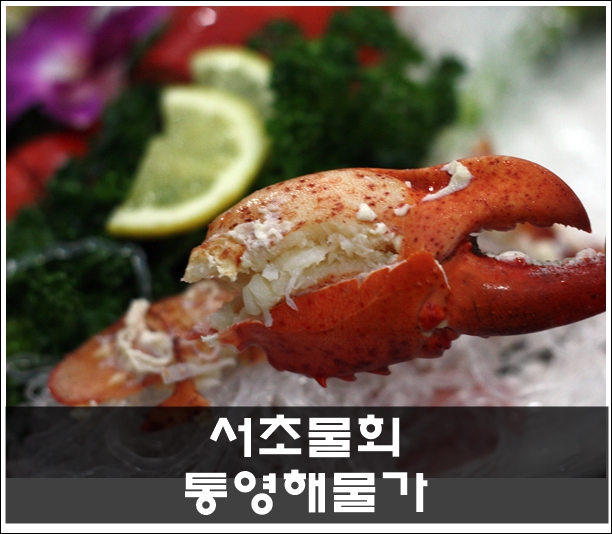  서초물회 통영해물가 가성비 끝판왕을 만나다 (한상 코스요리)