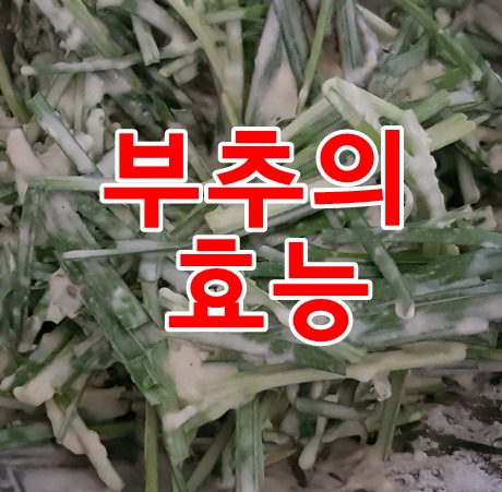 부추다이어트 효능알고 먹고 빼자(다이어트44일차)