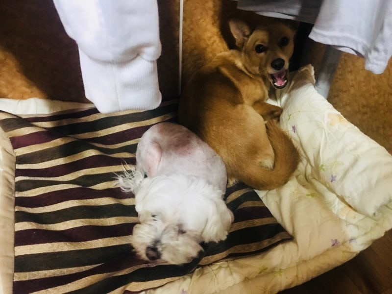 사진 2