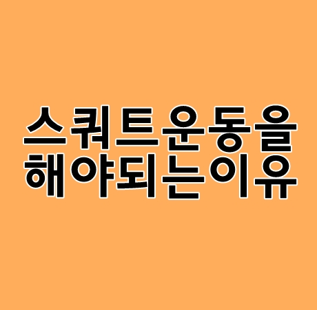 스쿼트를해야하는이유 집중하기