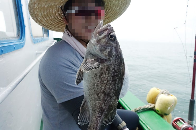  인천배낚시 신나라유선에서 초보도 종일배낚시로 우럭 신나게 잡은 후기