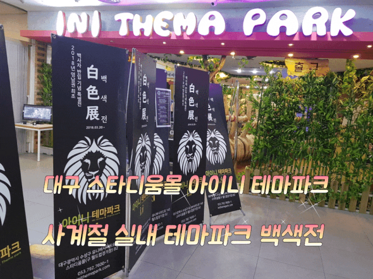 대구 스타디움몰 아이니 테마파크 백색전 백사자 보고 왔어요. 대구 스타디움몰 아이니 테마파크 백색전 백사자 보고 왔어요.