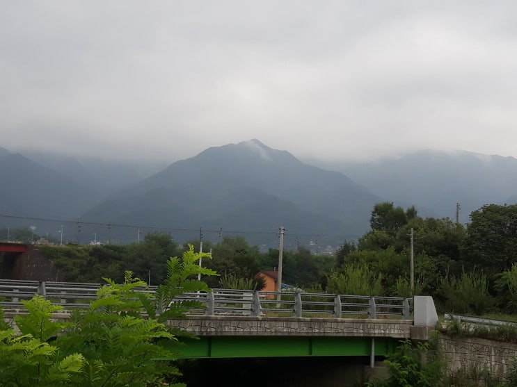  메일상담..