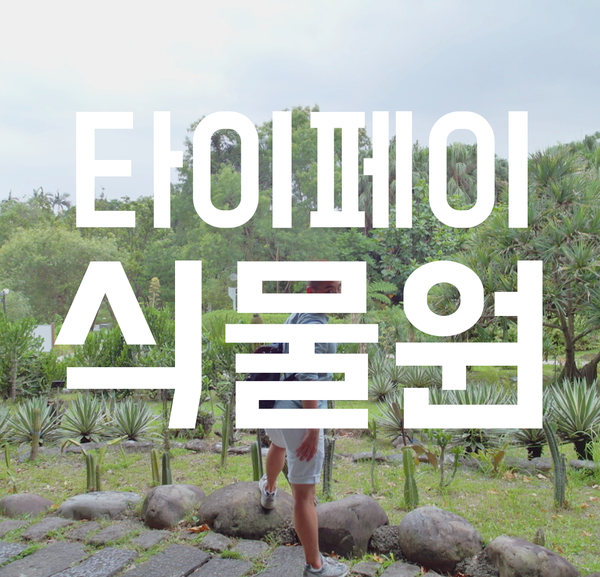  [대만자유여행] 타이페이식물원. 도심에서 만나는 숲!