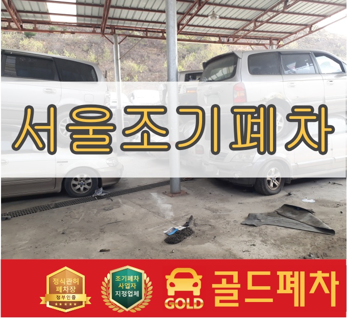  서울 조기 페차 최고다 여기