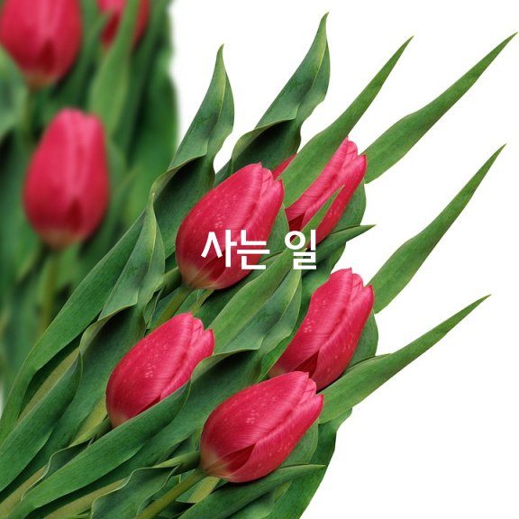  사는 일