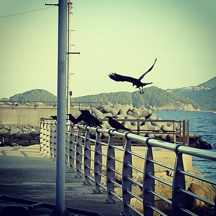  총명함을 염원하며...