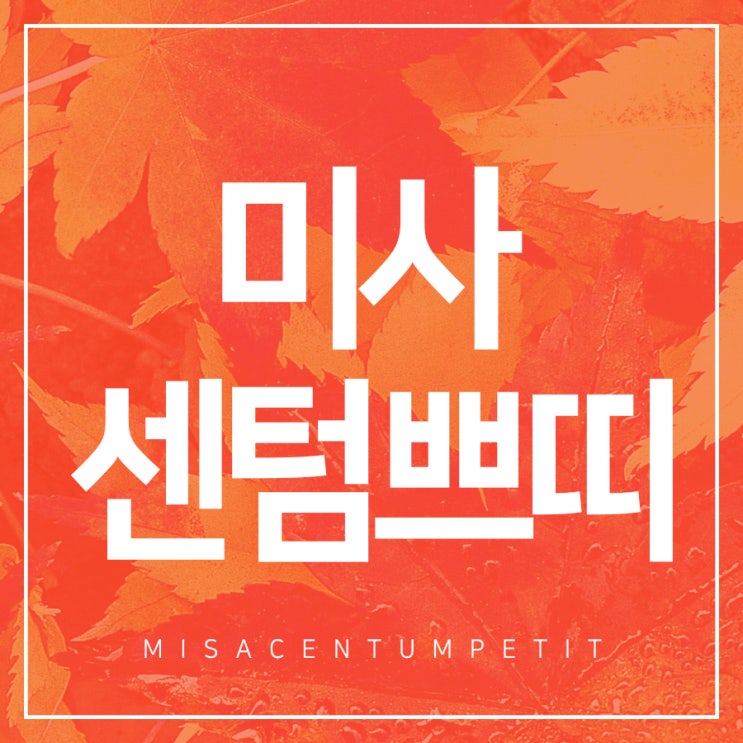  미사센텀쁘띠 보다 탄력있고 보다 날씬하게!