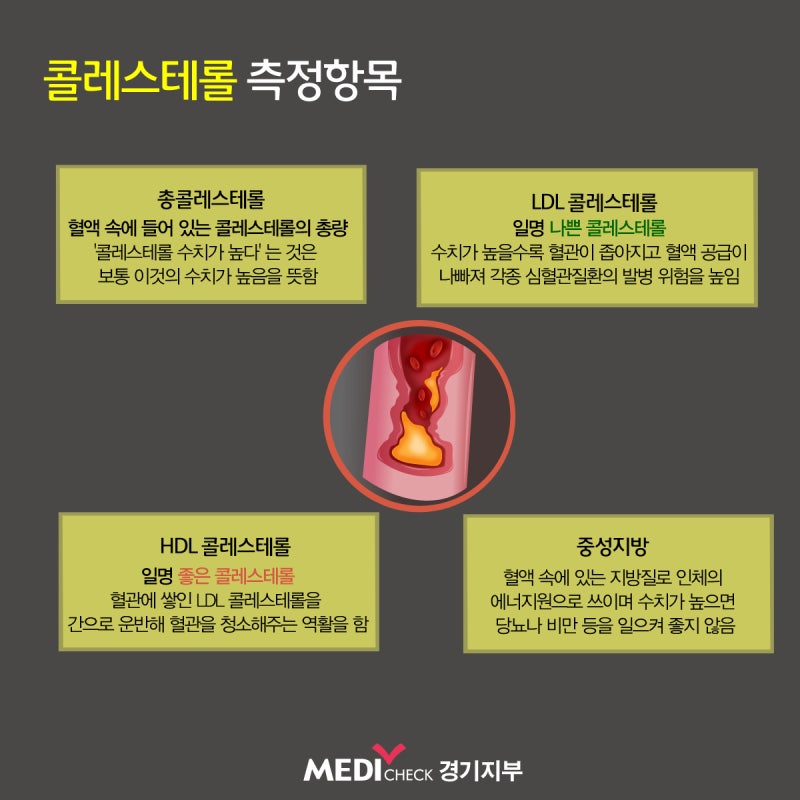 좋은 콜레스테롤 HDL vs 나쁜 콜레스테롤 LDL 정상 수치 유비큐스 후기