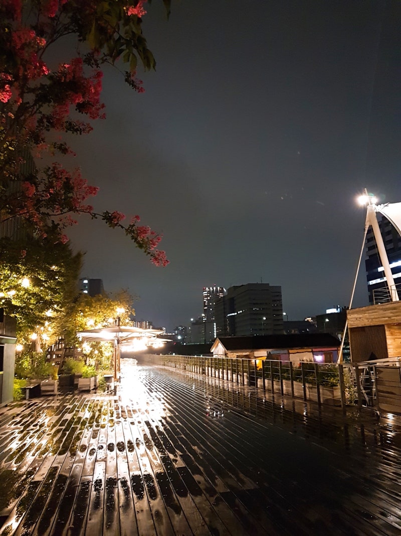 도쿄여행]주당언니랑 떠나는 먹고마시고죽자여행;신바시 이자카야,시나가와 T.Y HARBOR : 네이버 블로그