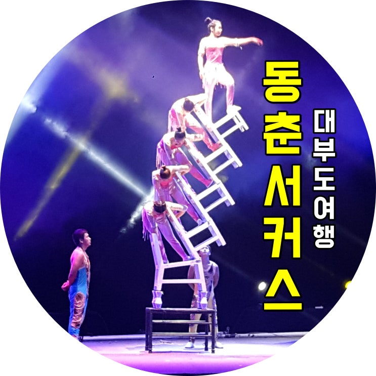  대부도 동춘서커스 구경하고 우리밀칼국수 먹고 왔어요~