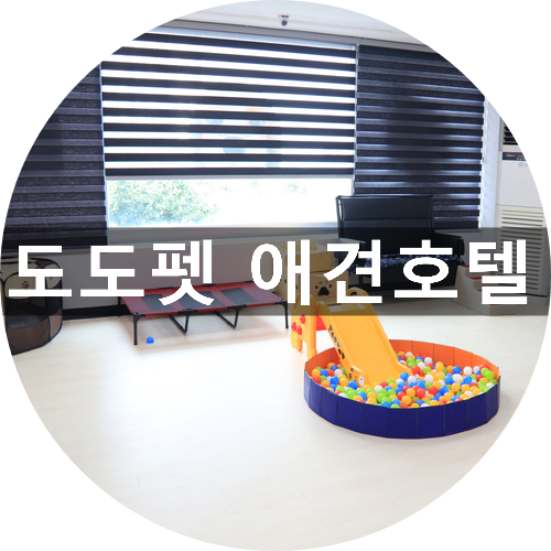사진 5