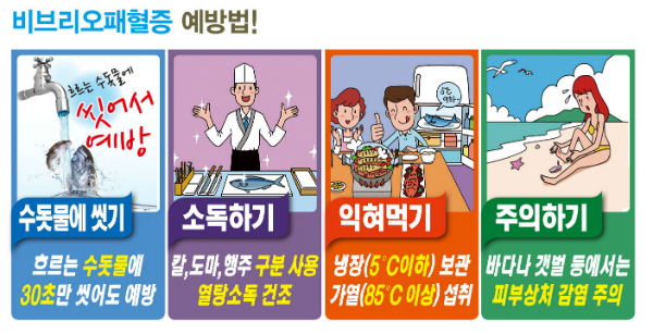  비브리오 패혈증 어떻게 예방할까?- 탄현/제니스/덕이/운정/예중예고전문/일산입시미술/일산입시전문 탄현바른미술학원-