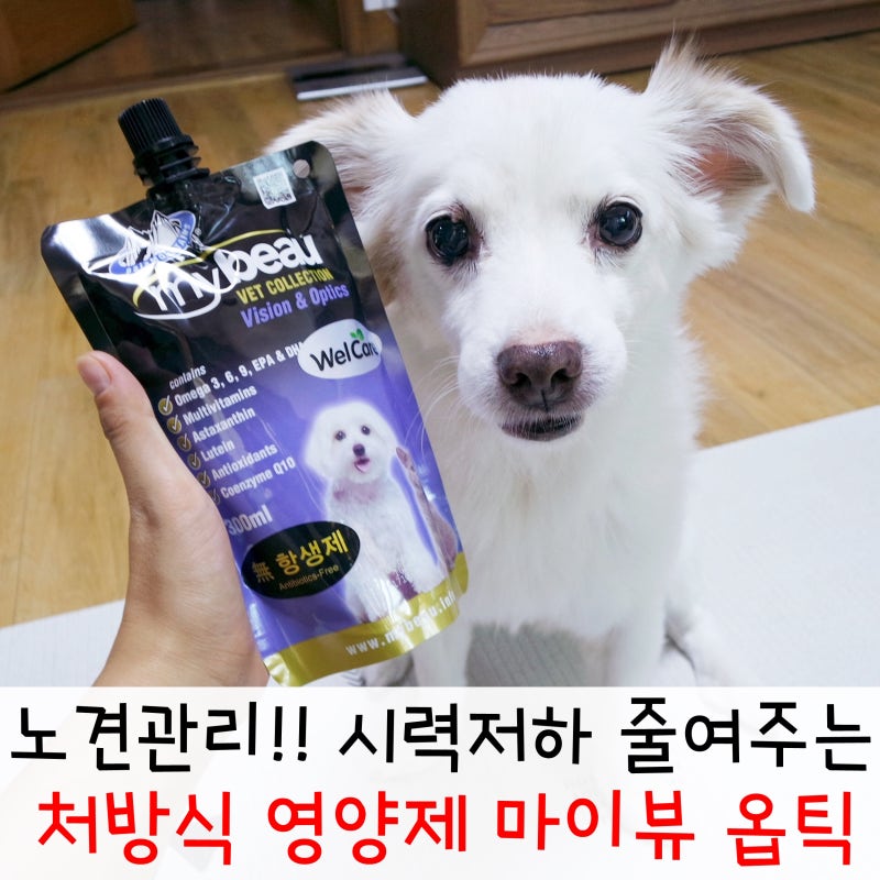 강아지눈영양제 노견 눈 관리 벨벳 마이뷰 옵틱 선택했어요