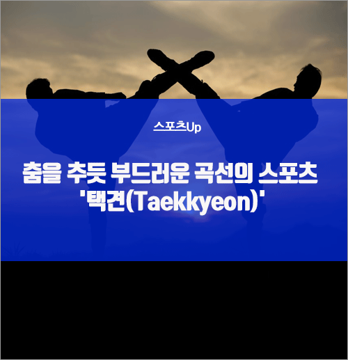  춤을 추듯 부드러운 곡선의 스포츠 '택견(Taekkyeon)'