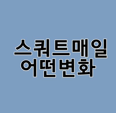 스쿼트100개시작 다이어트일기 48일차