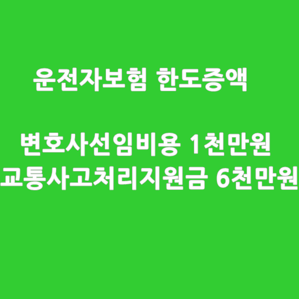 메리츠 교통사고처리지원금 6천만원, 변호사선임비용 1천만원_ 가입한도 증액