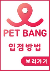 사진 6