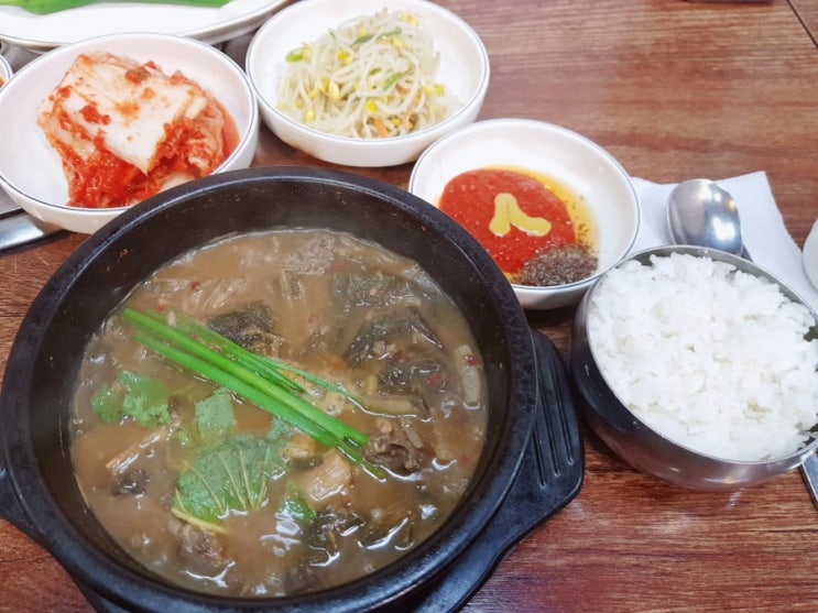  서울,삼성-우사미