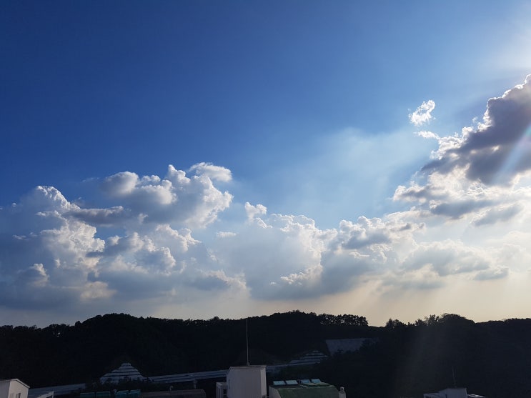 일상의 일기 <시작>