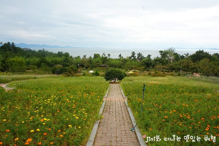  신안 압해도 천사섬 분재공원 조용해서 좋았던..