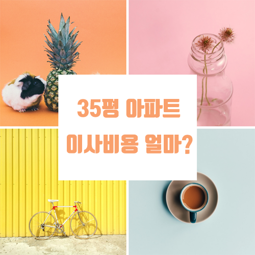  35평 아파트 이사비용 얼마일까?