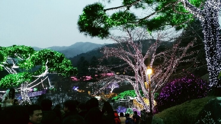  가평여행 가볼만한 곳 아침고요수목원 빛축제