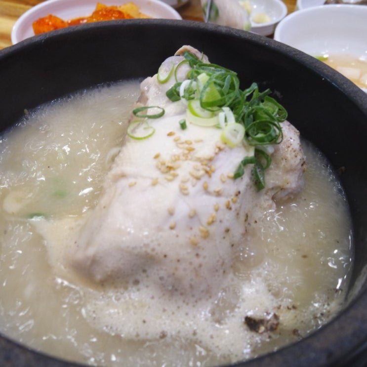  대구 침산동 맛집 닭올닭 간절기 감기 예방 보양식추천 삼계탕