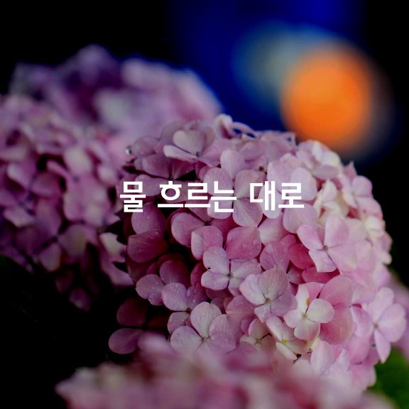  물 흐르는 대로