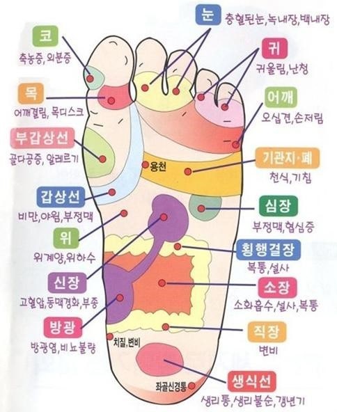 발 지압표 모아보기! +@ 효과 : 네이버 블로그