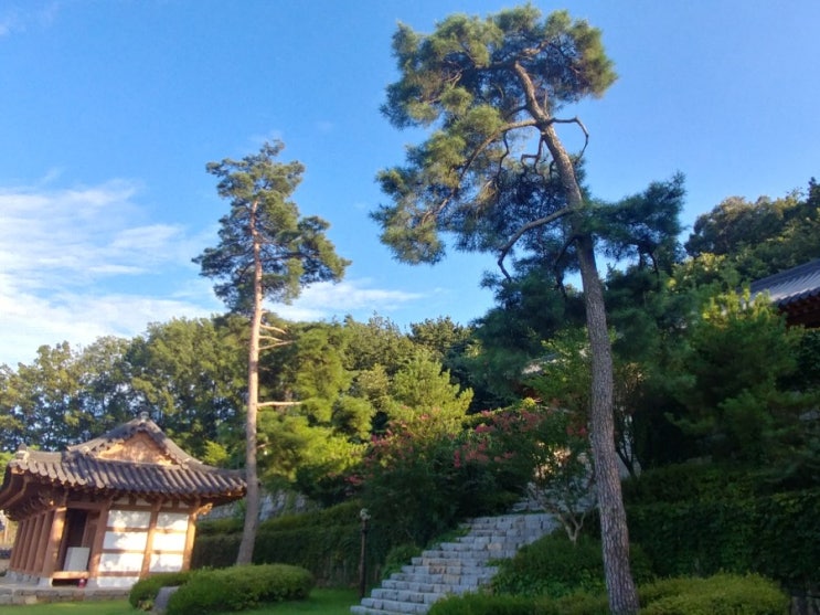  청명한 날 맑은 기분으로 산책