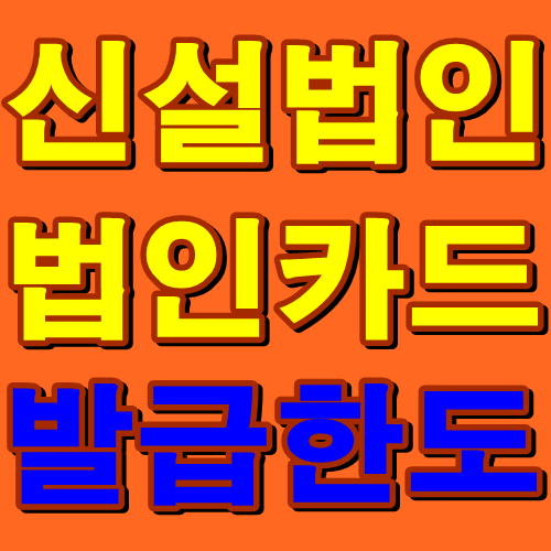  신설법인 법인신용카드한도는?