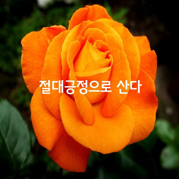  절대긍정으로 산다