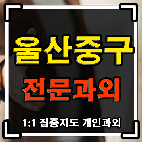  울산 중구 과외 (복산동 약사동) 초등학생 중학생 영어과외 한글 파닉스 모두!