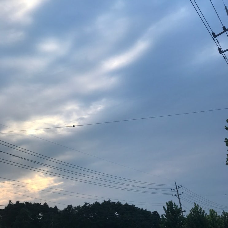  프렌즈샵, 이 지역에서 모르면 간첩인 전국상사 강릉 최저가 유압유/중고톤백마대 판매 !