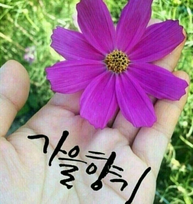  그런 당신이 참 좋아요