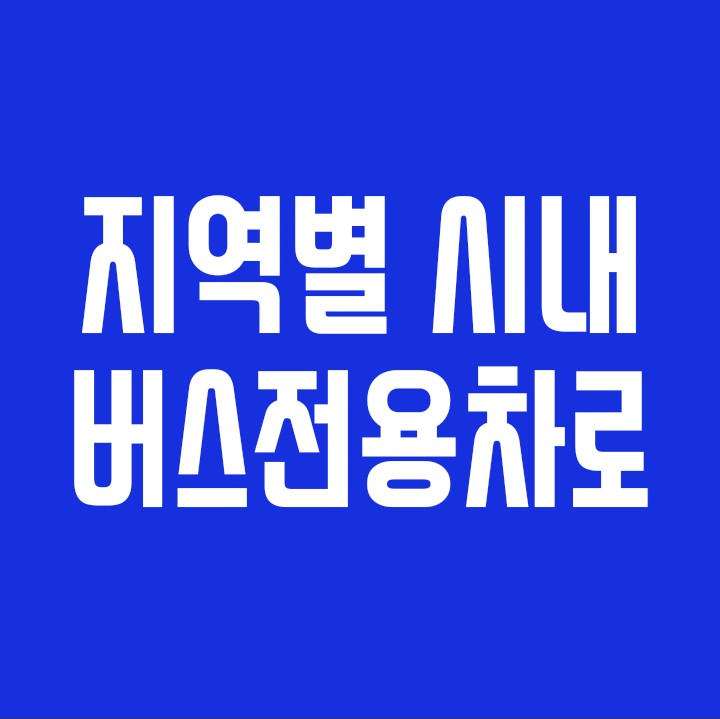  시내버스전용차로 시간(서울ᆞ부산ᆞ광주ᆞ대구)
